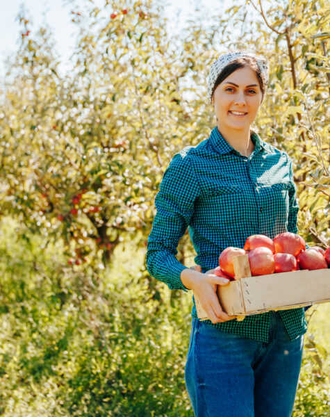 erntehelfer manpower