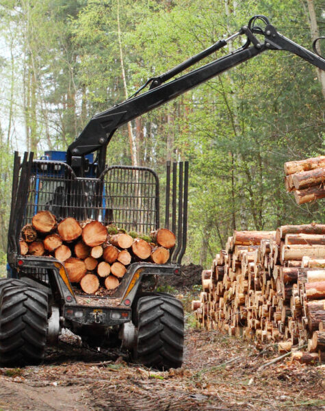 waldarbeiter aus osteuropa