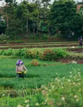erntehelfer aus osteuropa